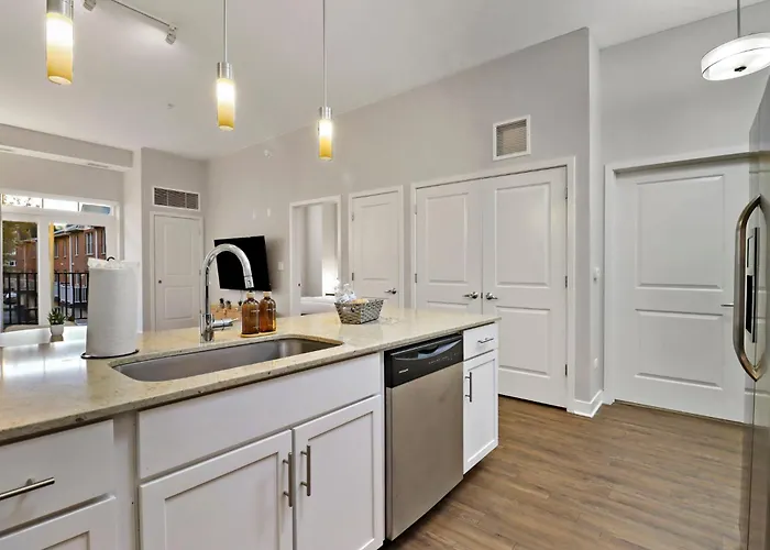 Downtown Luxury Near Metra & O'hare With Pool, Gym, Parking & Theater Elmhurst